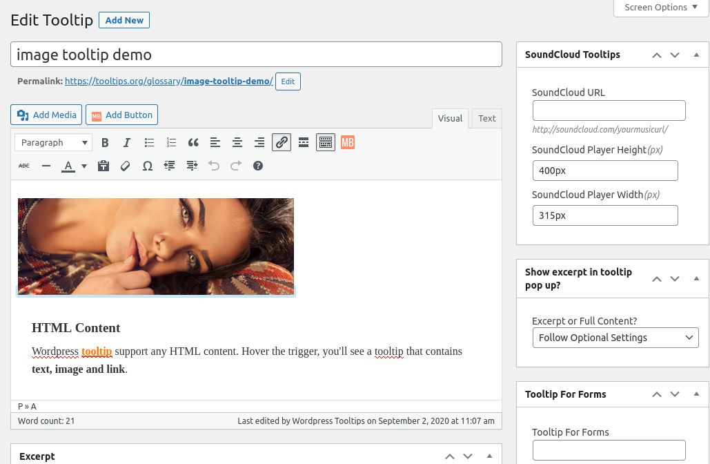 Video Inside Tooltip How to Add Image in Tooltip | Wordpress Tooltips Plugin